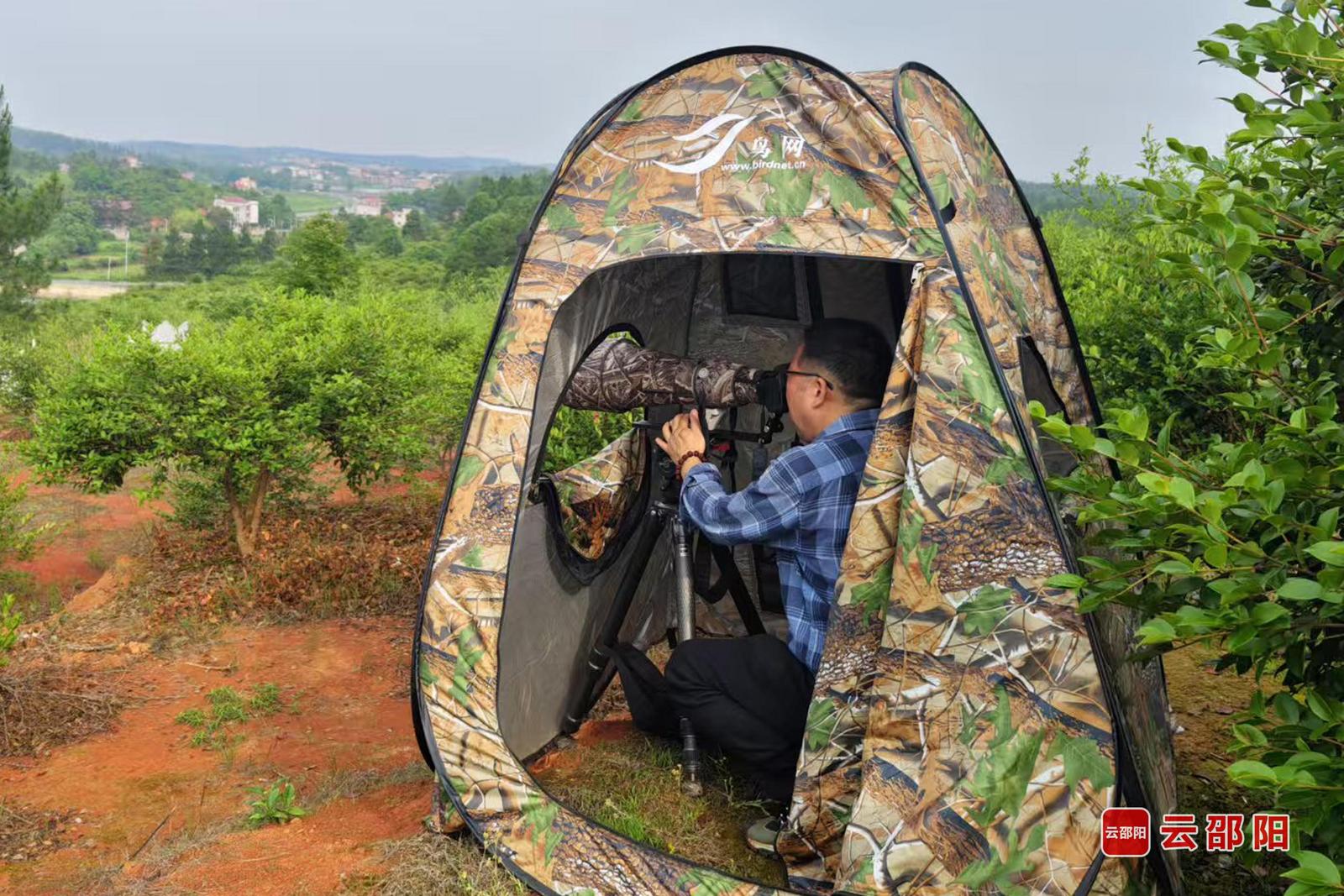 鸟类科普志愿者在野外观鸟。