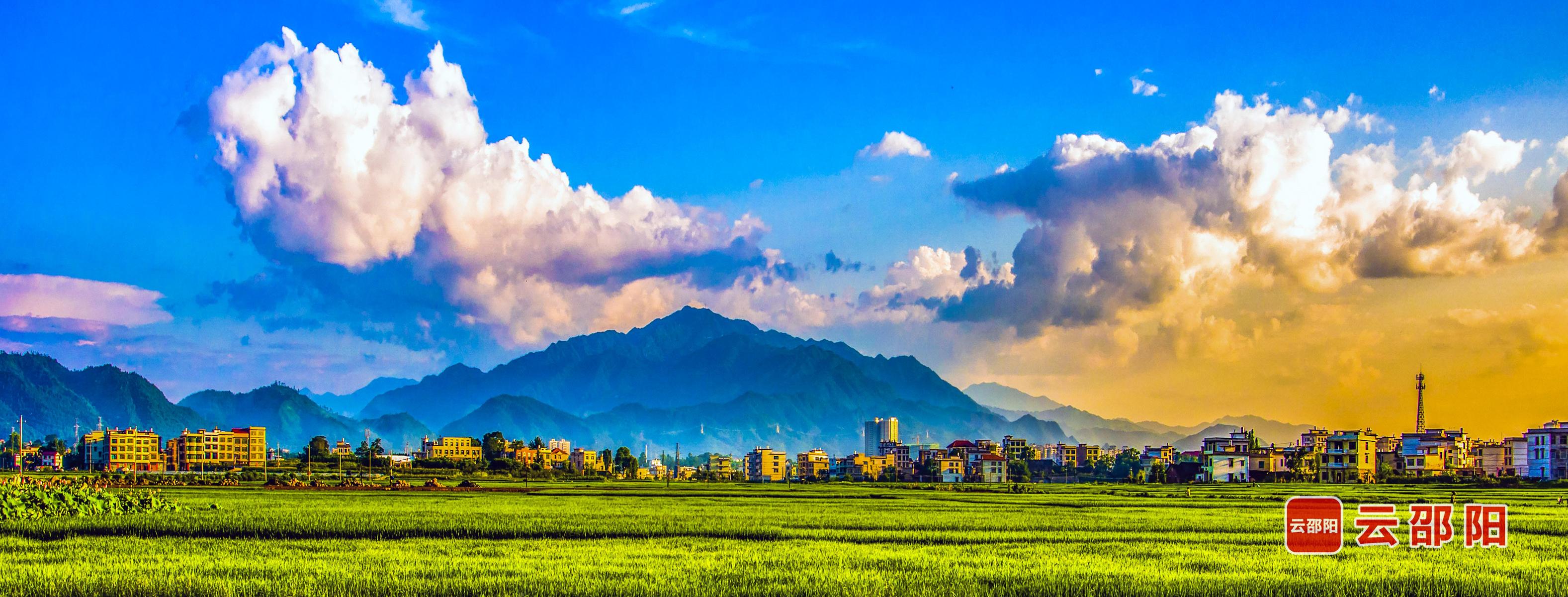 盛夏 曾晓红 摄