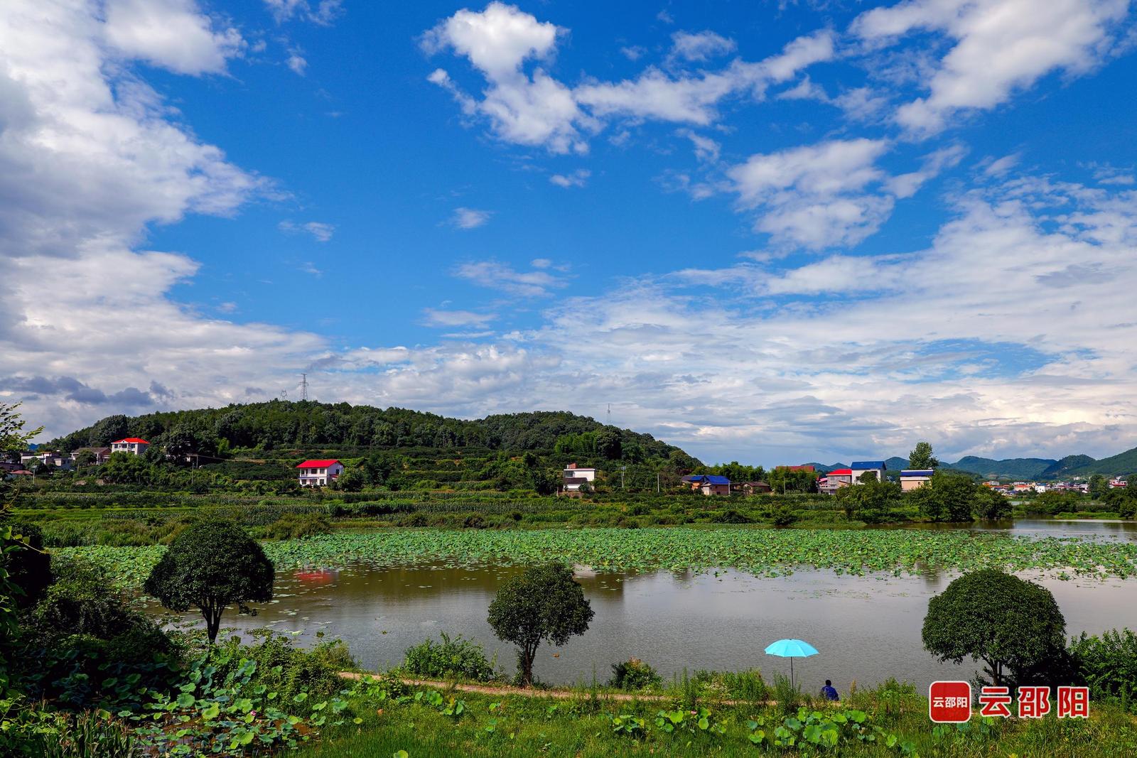 山水田园美如画 朱巨滨 摄