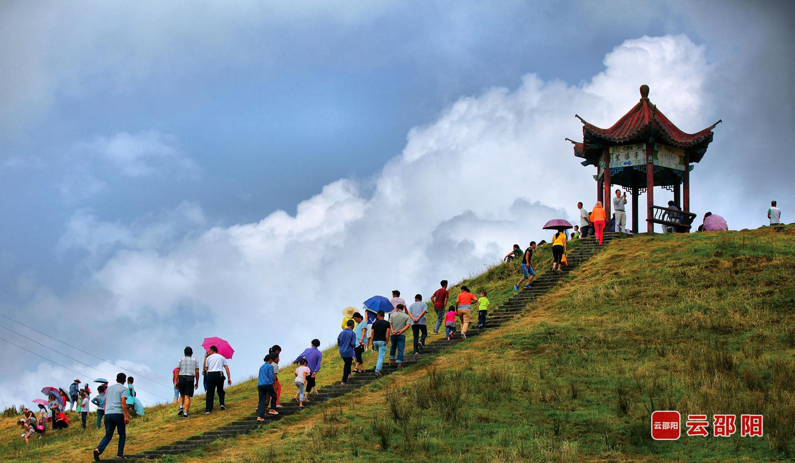 夏日游 罗哲明 摄
