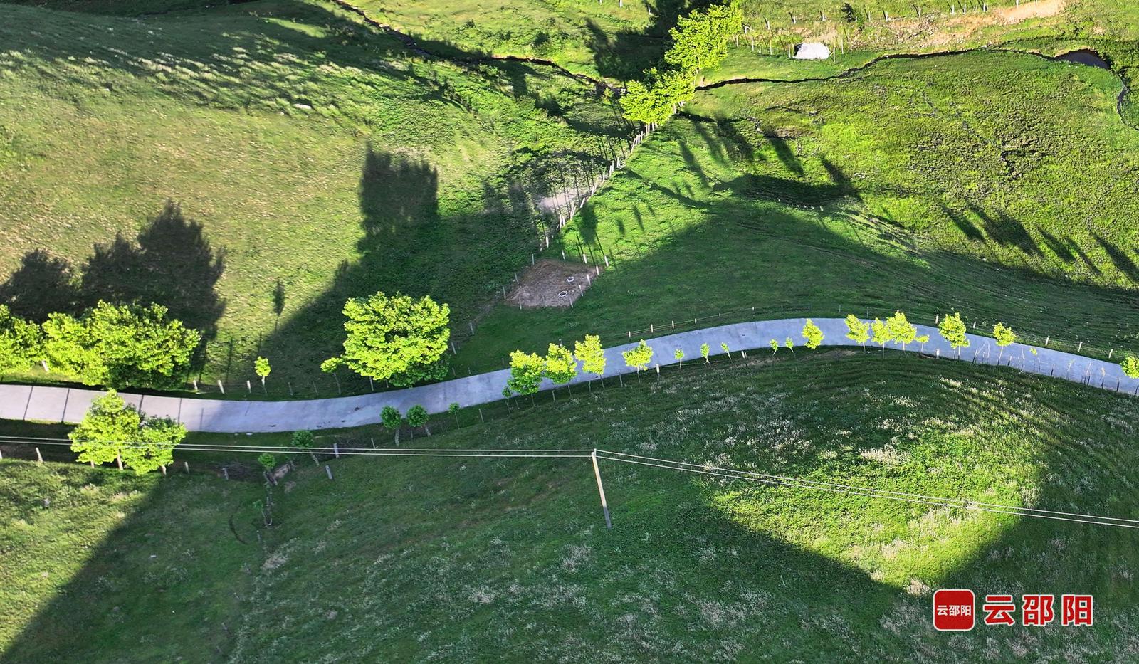 南山光影 严钦龙 摄