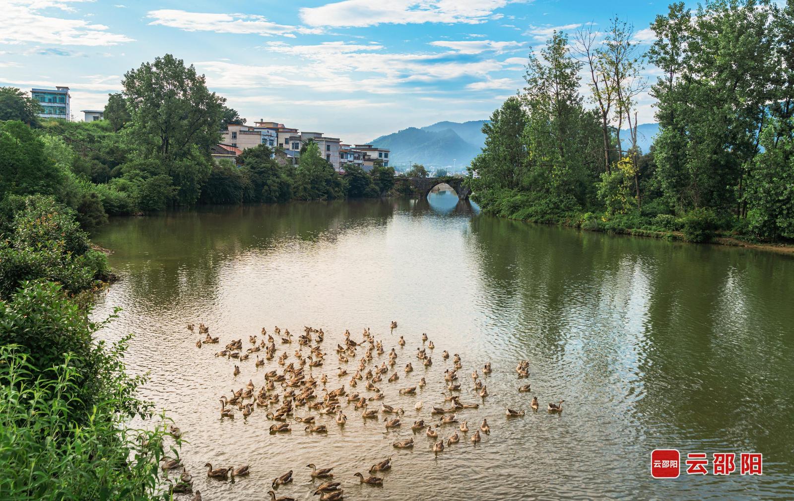 画卷 申秀丽 摄