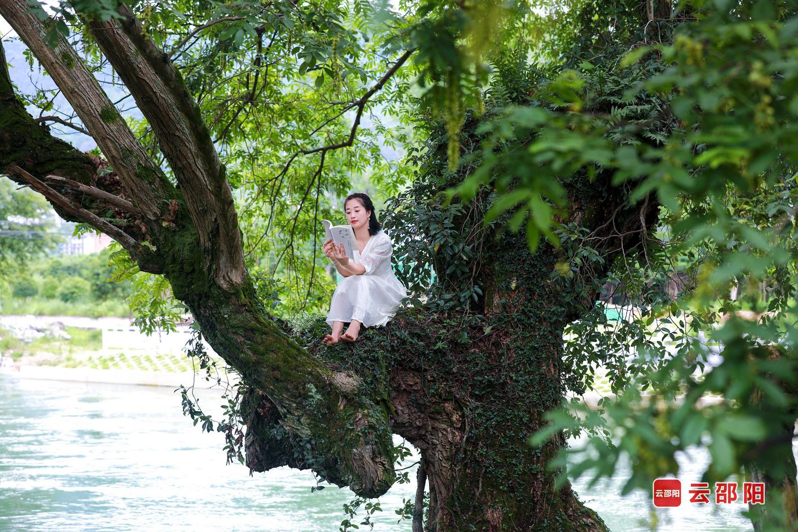 夏日小憩 徐宏文 摄