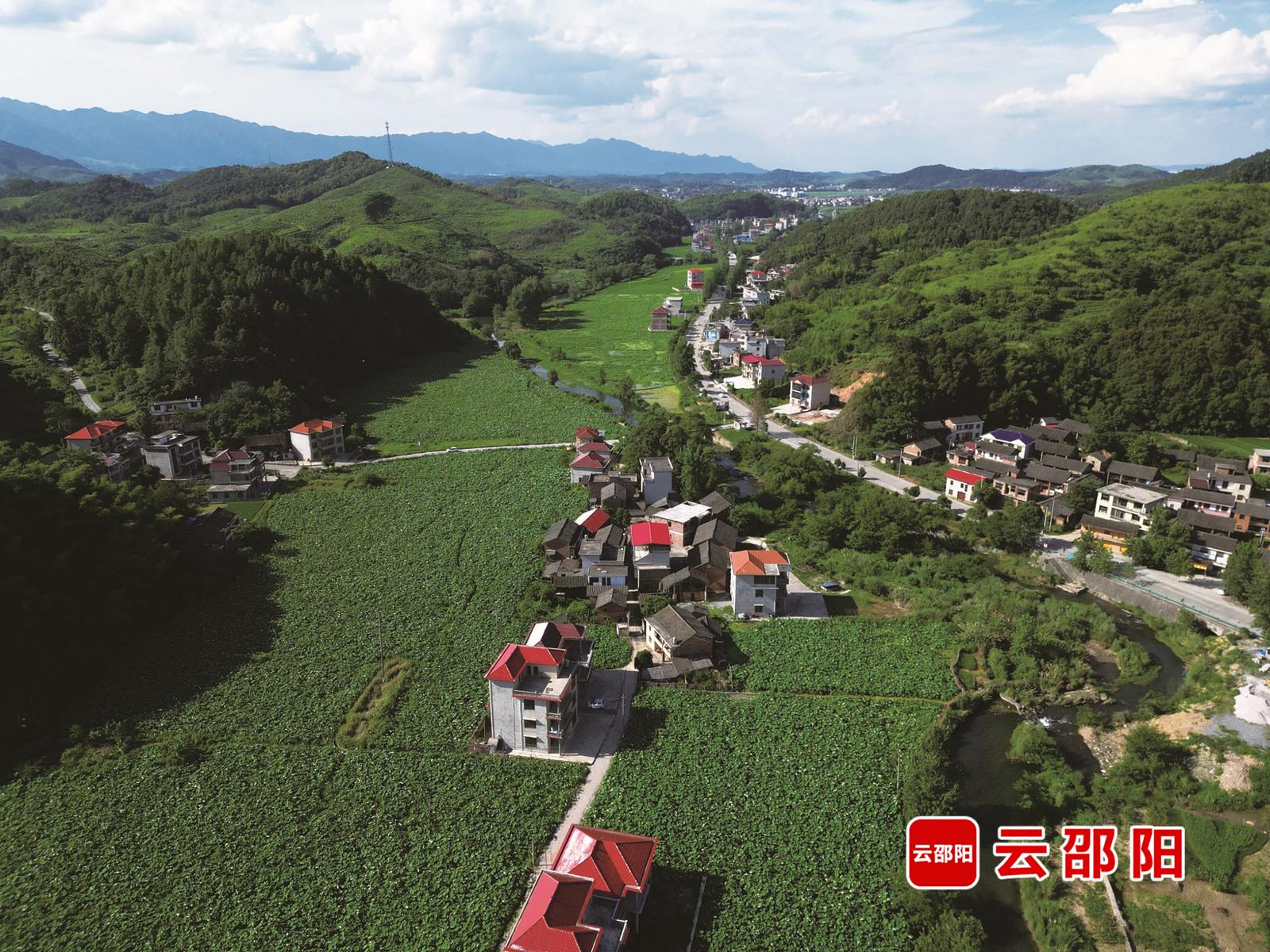 产业蝶变 基建提质 新风润乡